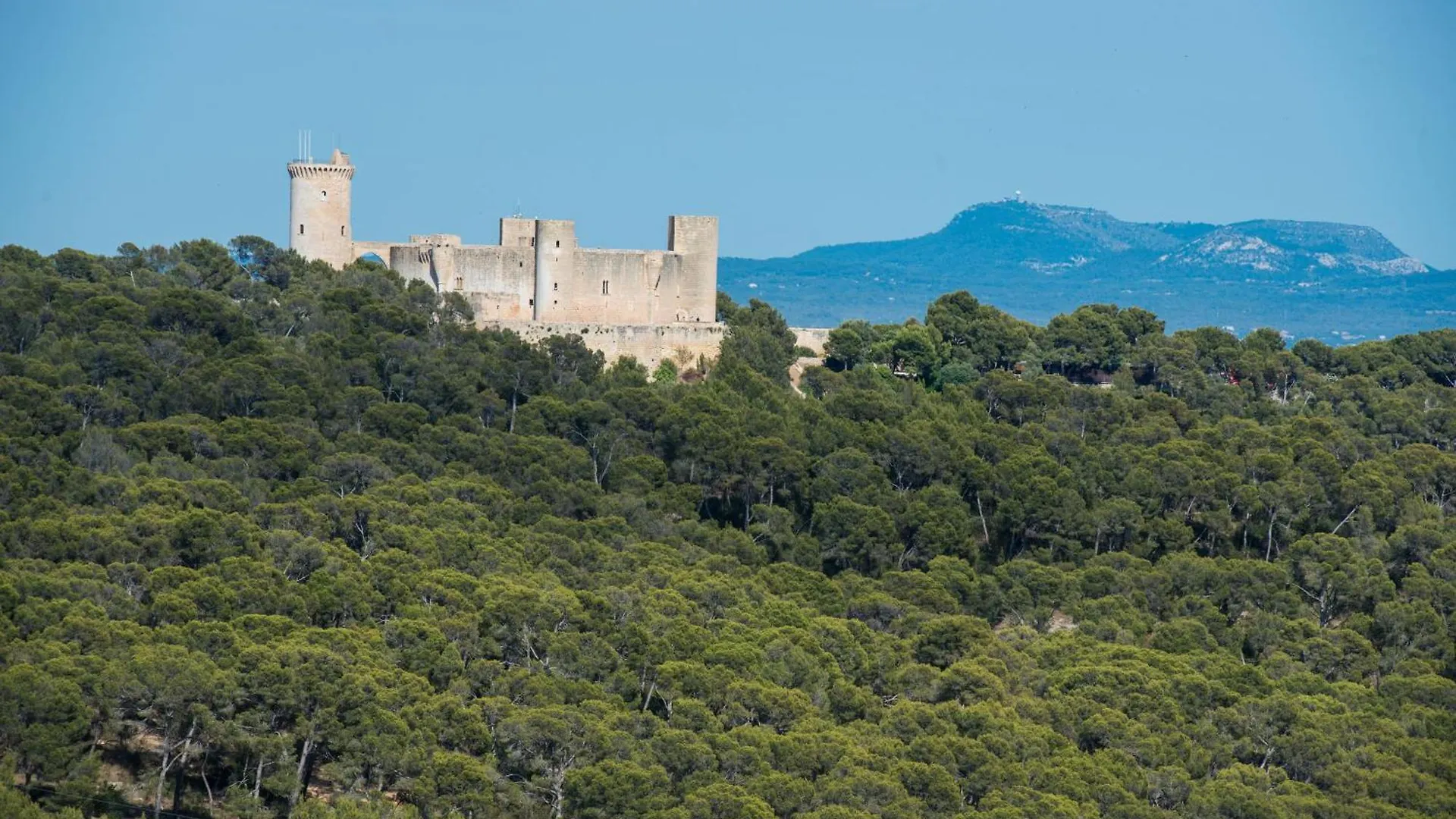 Can Rei Des Pla Palma de Mallorca 0*,  Spanje